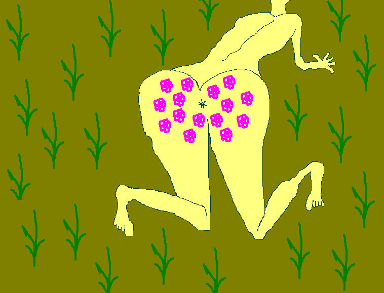 pipe cleaner fun by catherine stinson